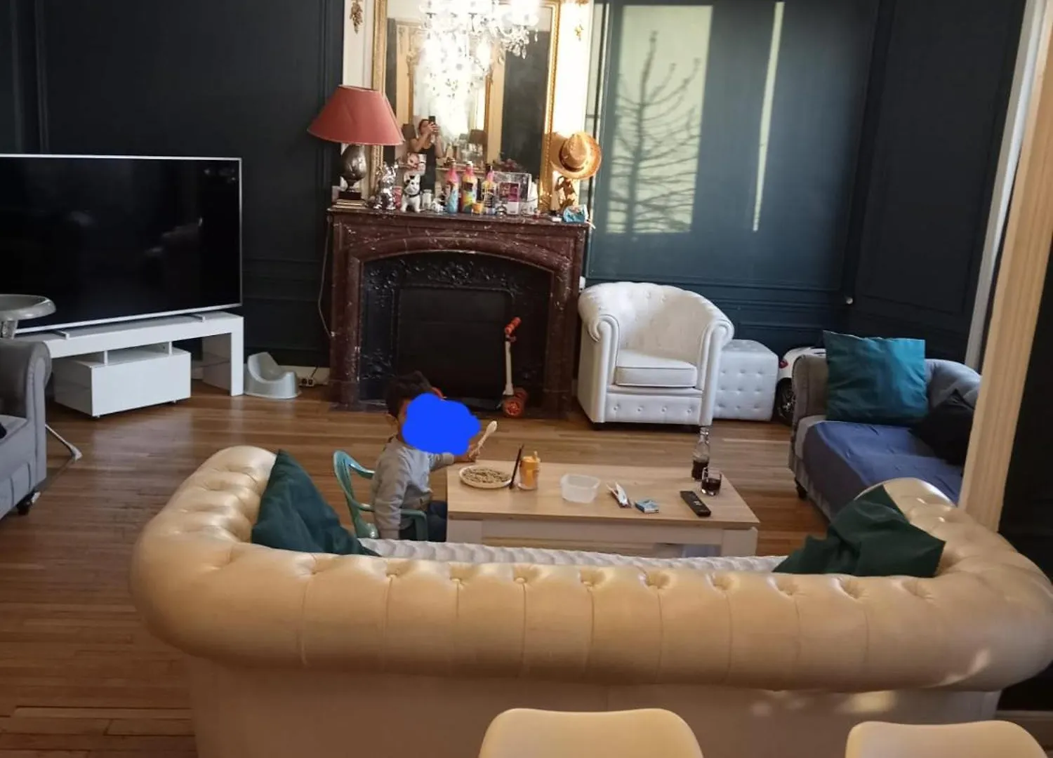 Appartement Parc Des Expositions Paris 15 Daire